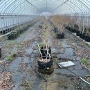 하루농장 이미지