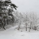 안미초등학교 이미지