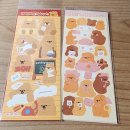 하울 | 15만원 가성비(?) 서일페 v.20 구매 하울/후기