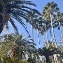 소노벨 타워 A.B 제주 | [제주] 소노벨 제주 패밀리 스탠다드 트윈 클린 객실 2박 후기