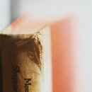 프리모 레비+ <이것이 인간인가> 이미지