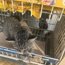 누리마트교현 이미지