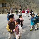 푸른자연유치원 이미지