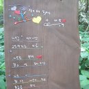 생이소리 이미지