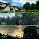 자연에마트 이미지