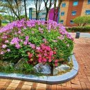 용바위어린이공원 이미지