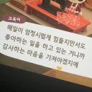 온실속베니 이미지