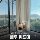 위드뷰티스파 | 포항 피부관리샵 : 벨루위드미 1인 프라이빗 두피 해독 케어 리프팅 후기