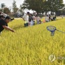백산조수골마을 이미지