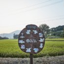 광천 하상주차장 이미지