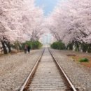 용산-이촌-434 이미지