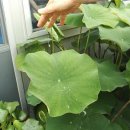 회운정횟집 이미지