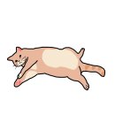 톰슨전단 | 봄이 굿즈 제작 애즈랜드후기 (애즈랜드 인스, 애즈랜드 떡메모지 제작)