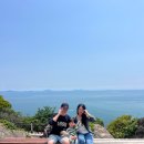 순천만풀리조트 | 강아지와 아이와 함께한 여수 2박3일 여행코스 추천 💙｜가족여행 일정 정리 [1]