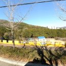 청룡동-1 이미지