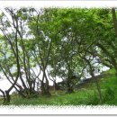 구불4길(구슬뫼길) 이미지