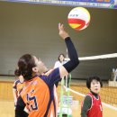 남춘천초등학교 이미지