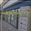 라이크 잇(LIKE EAT)