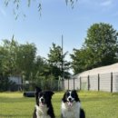 시흥승마힐링체험장 이미지