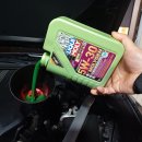 레어템(Rare-Tem) 이미지