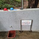 윗사기막 이미지