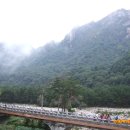 설악바다 통나무 펜션 이미지