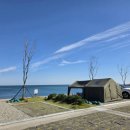 창바우마을 | 포항 창바우마을캠핑장 오션뷰캠핑장추천 포항 해송피닉장