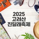 에넥스신촌전시판매장 | 2025 고려산 진달래축제 일정과 꿀팁