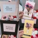 에일린플레르 이미지