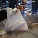 [ 부천 옥길 ] 멕시칸 펍 타코 포장 내돈내산 솔직후기 _ 타코몰리 부천점