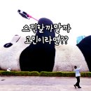 비디오플러스 책 | 스픽 프리미엄 플러스 차이 왕초보 찐 후기 보고 결정하세요!