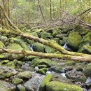 장산민박 이미지