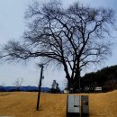 칠백의총 Daum카페
