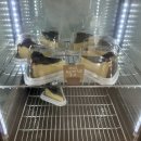 [월곡역/동덕여대] 최애 구움과자 맛집 ‘모모양과’ 디저트 후기