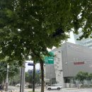 웰빙요가(오전) 이미지