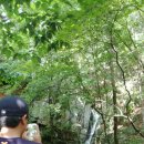 쿵쿵소 캠핑장 이미지