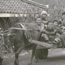 선녀와나무꾼 이미지