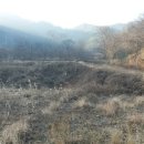 수1 태양광발전소 이미지