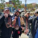 서진낚시 이미지