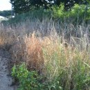 영평영송영농조합법인 이미지