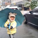 노리팡팡 이미지