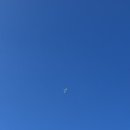 효니네 민박 이미지