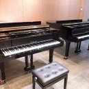 제5회 제주도레미 정기연주회 | 제주 아벡아트홀, 음악의 향연을 경험하라! 🎶