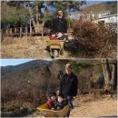성규농장 Daum카페