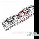 구.복사초 이미지