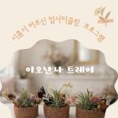신흥자원 | 시흥시 어르신 업사이클링 공예수업후기- 신흥사랑채 이오난사 트레이 만들기