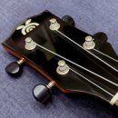 우쿨렐레(야간) 이미지