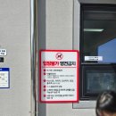 댕댕슈퍼 | [김해 댕댕파크] 사전예약 폐지? 헛걸음 방지 A to Z (5월 공사정보 포함 최신판)