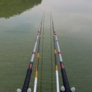 비들지낚시터 이미지