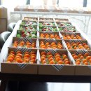 부천삼락장로교회 | 교회 행사 도시락 추천! 인천 박스케이터링 실제 후기(인천 별빛교회)